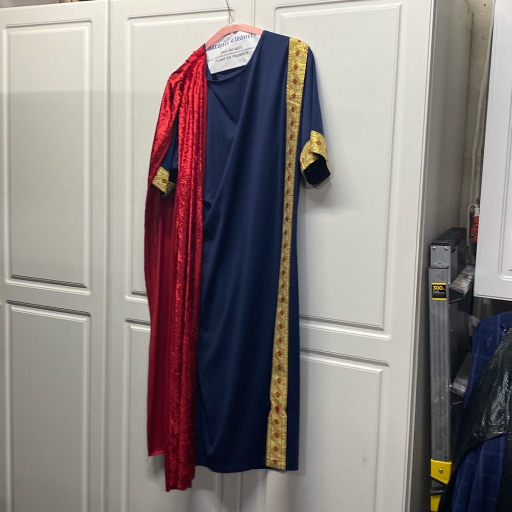 One size Roman Cesar Halloween costume, I wore this to a party.